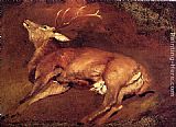 Sir Edwin Henry Landseer Study Of A Dead Stag painting
